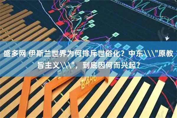 盛多网 伊斯兰世界为何排斥世俗化？中东\